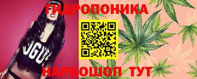 индика Чапаевск